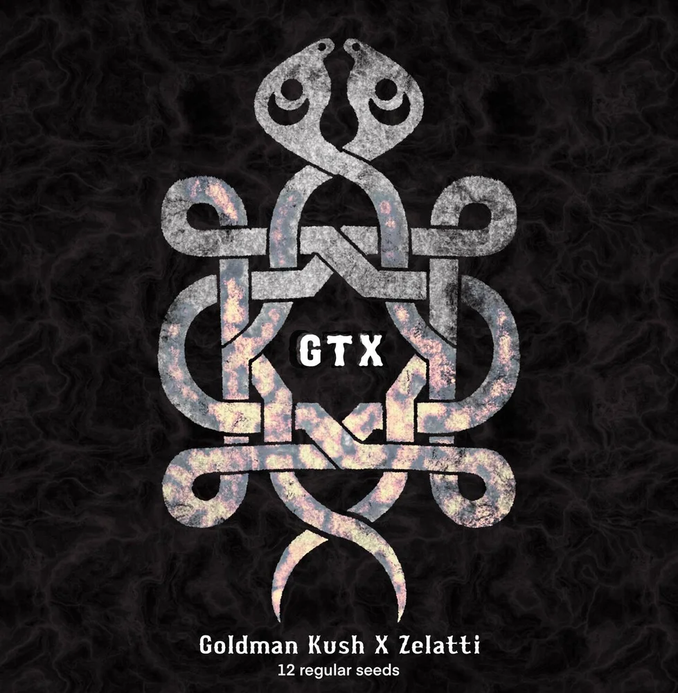 An image of GTX