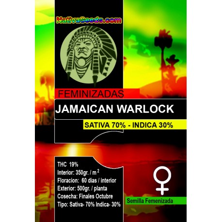 An image of Jamaican Warlock