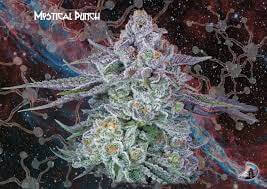 An image of Mystical Punch Auto