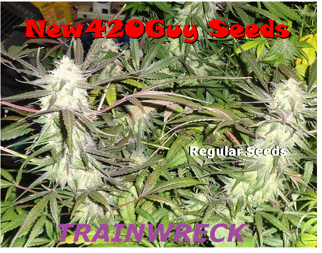 An image of Trainwreck