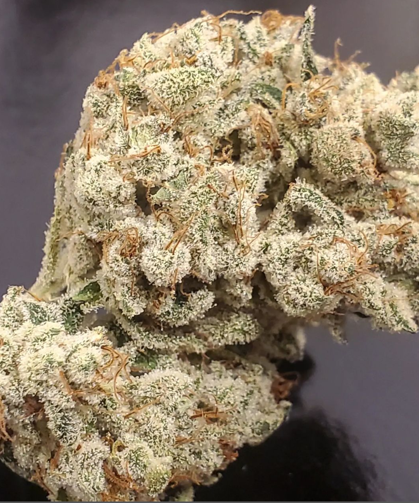 An image of Cosmic Sundae