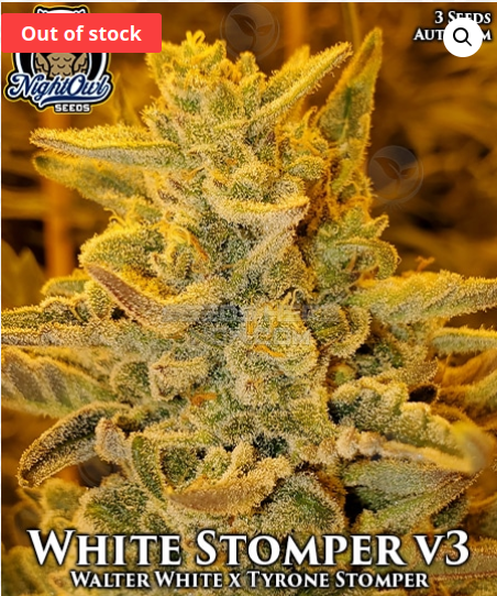 An image of White Stomper V3