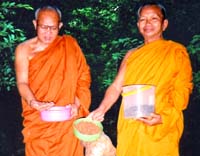 An image of Traveling Thai