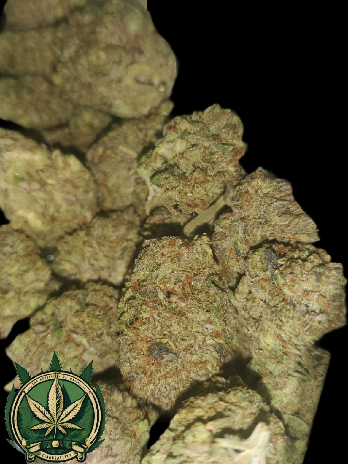 An image of Loud Dreams