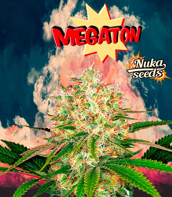An image of Megaton