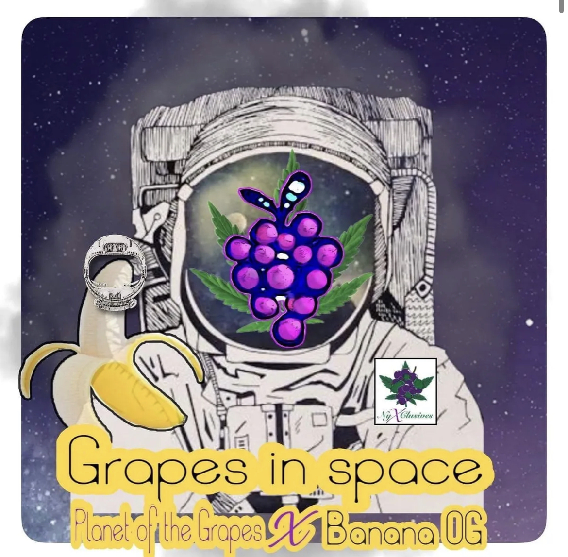 An image of Grapes In Space