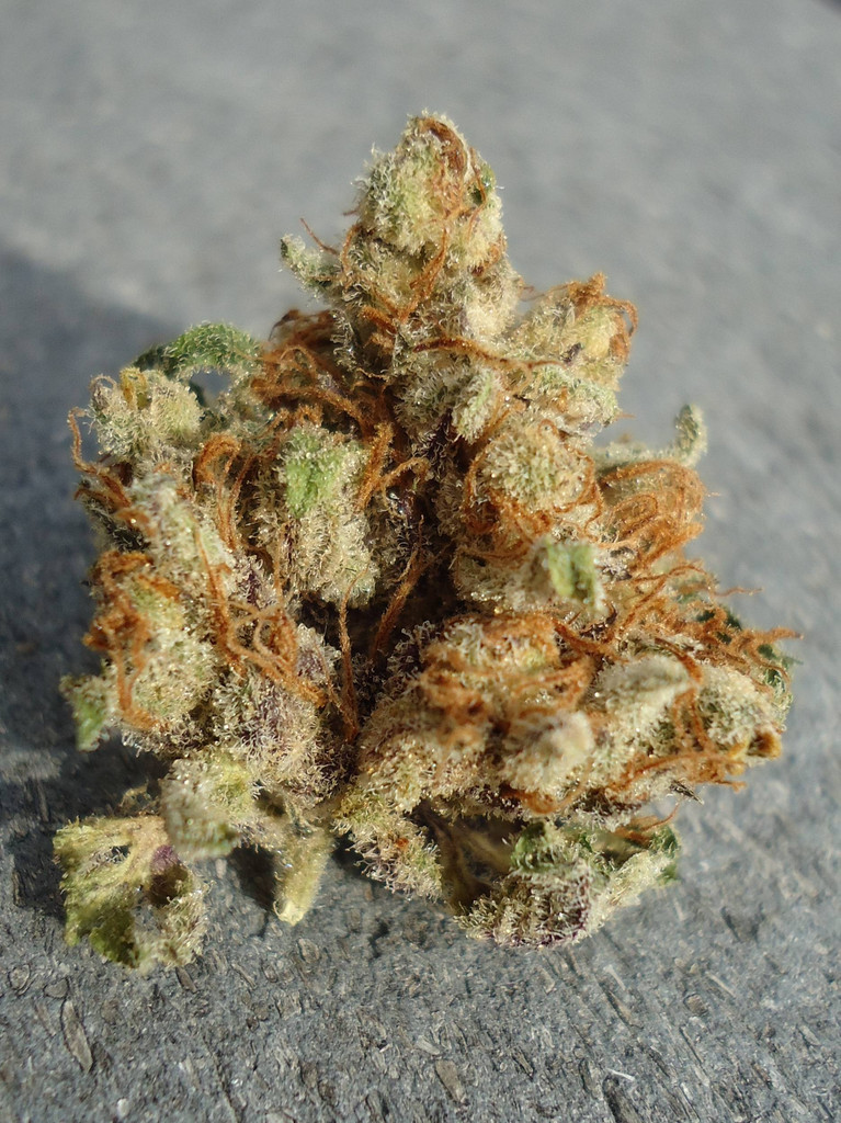 An image of Fire Alien Urkle