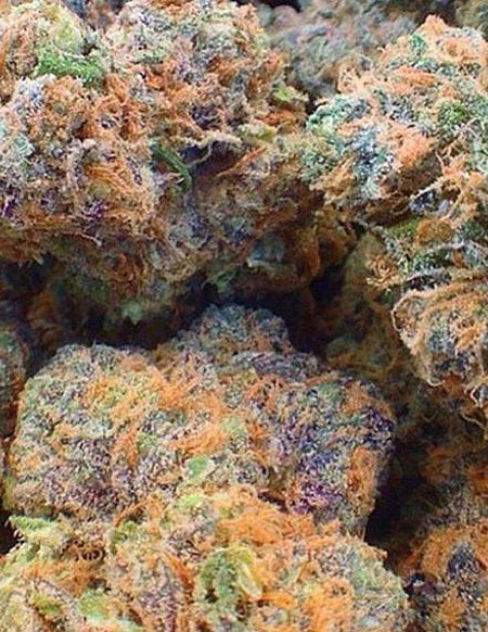An image of Fruity Pebbles OG x Aliendog Cherry