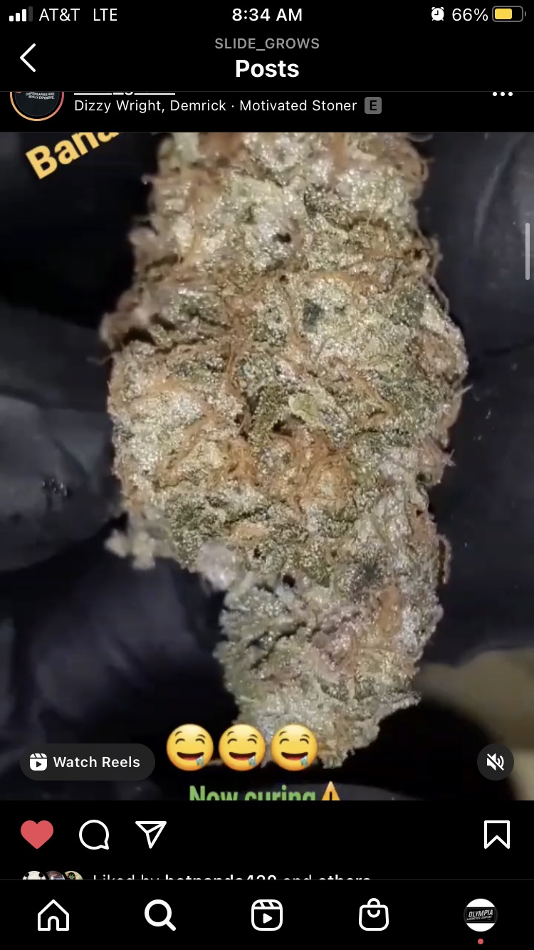 An image of Banana Tooth