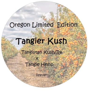 An image of Tangier Kush