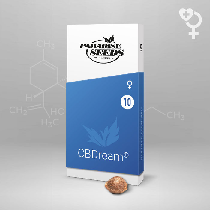 An image of CBDream
