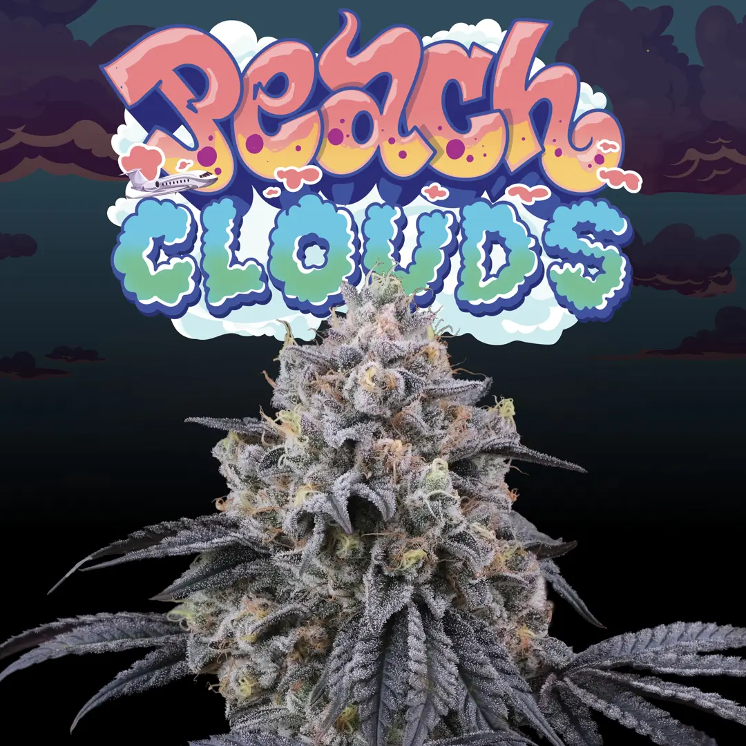 An image of Peach Clouds