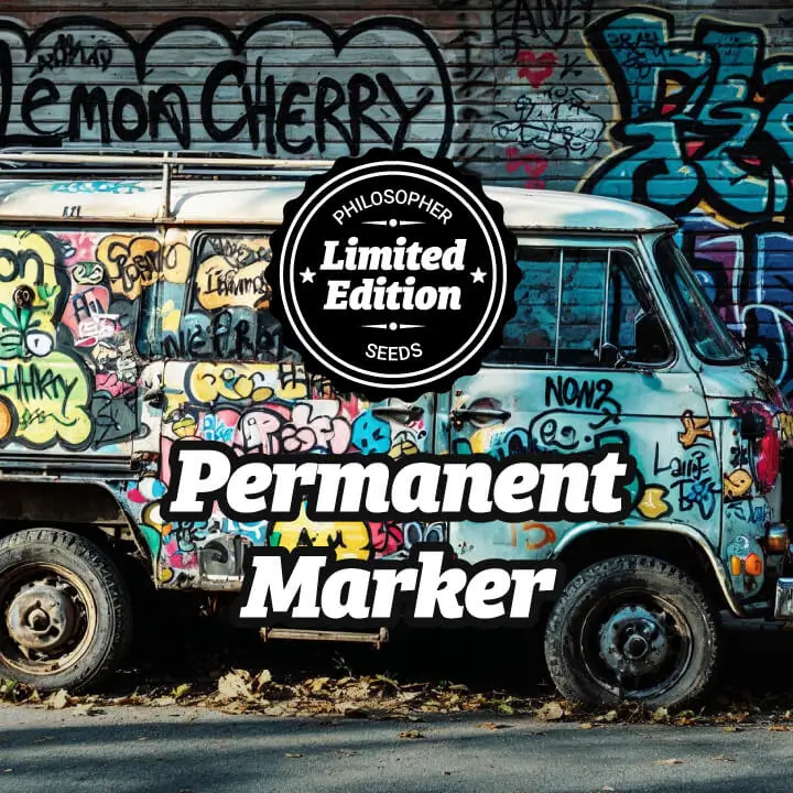 An image of Permanent Marker