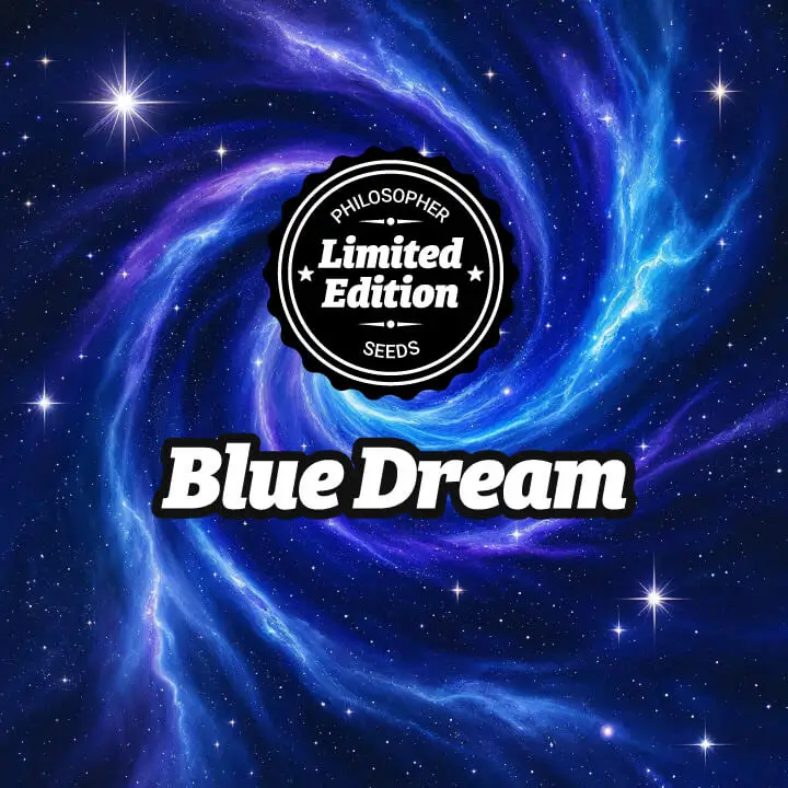 An image of Blue Dream