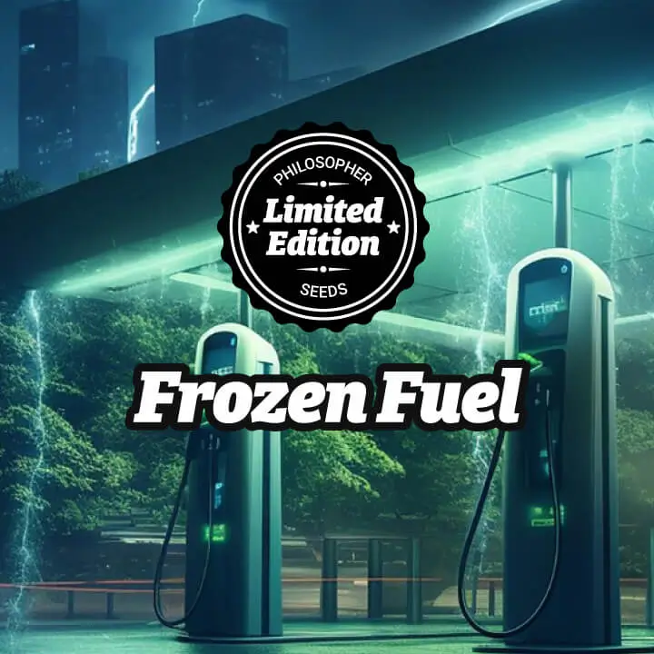An image of Frozen Fuel