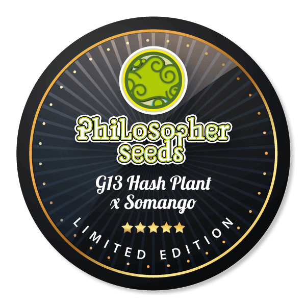 An image of G13 Hash Plant x Somango