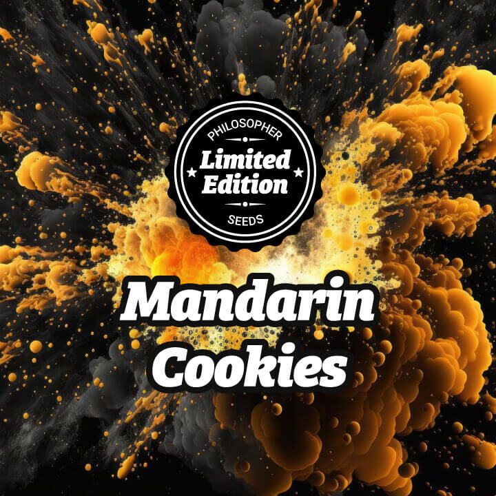 An image of Mandarin Cookies