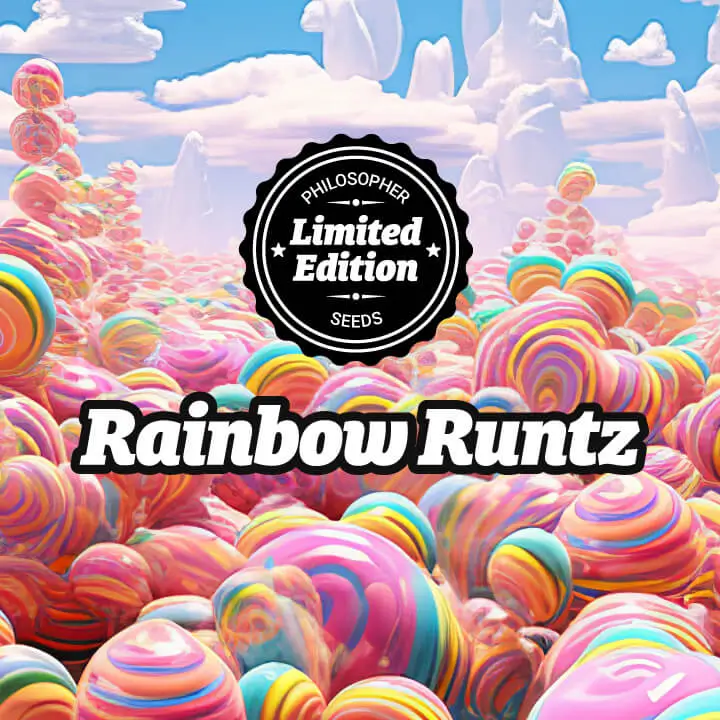 An image of Rainbow Runtz