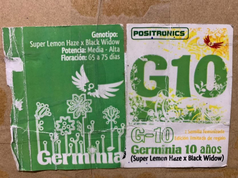 An image of G10