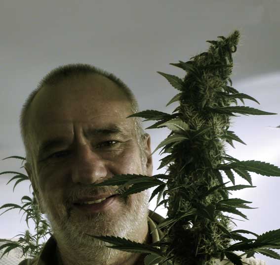 An image of Somango #47