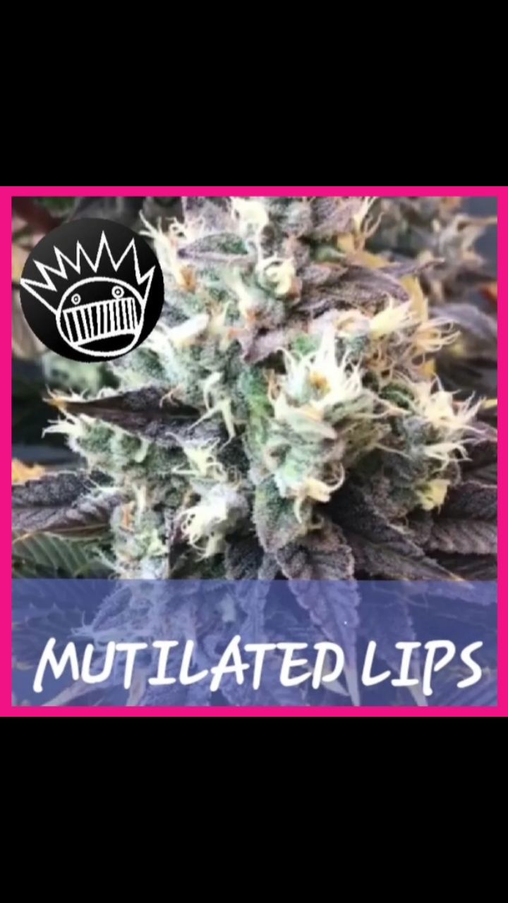 An image of Mutilated Lips