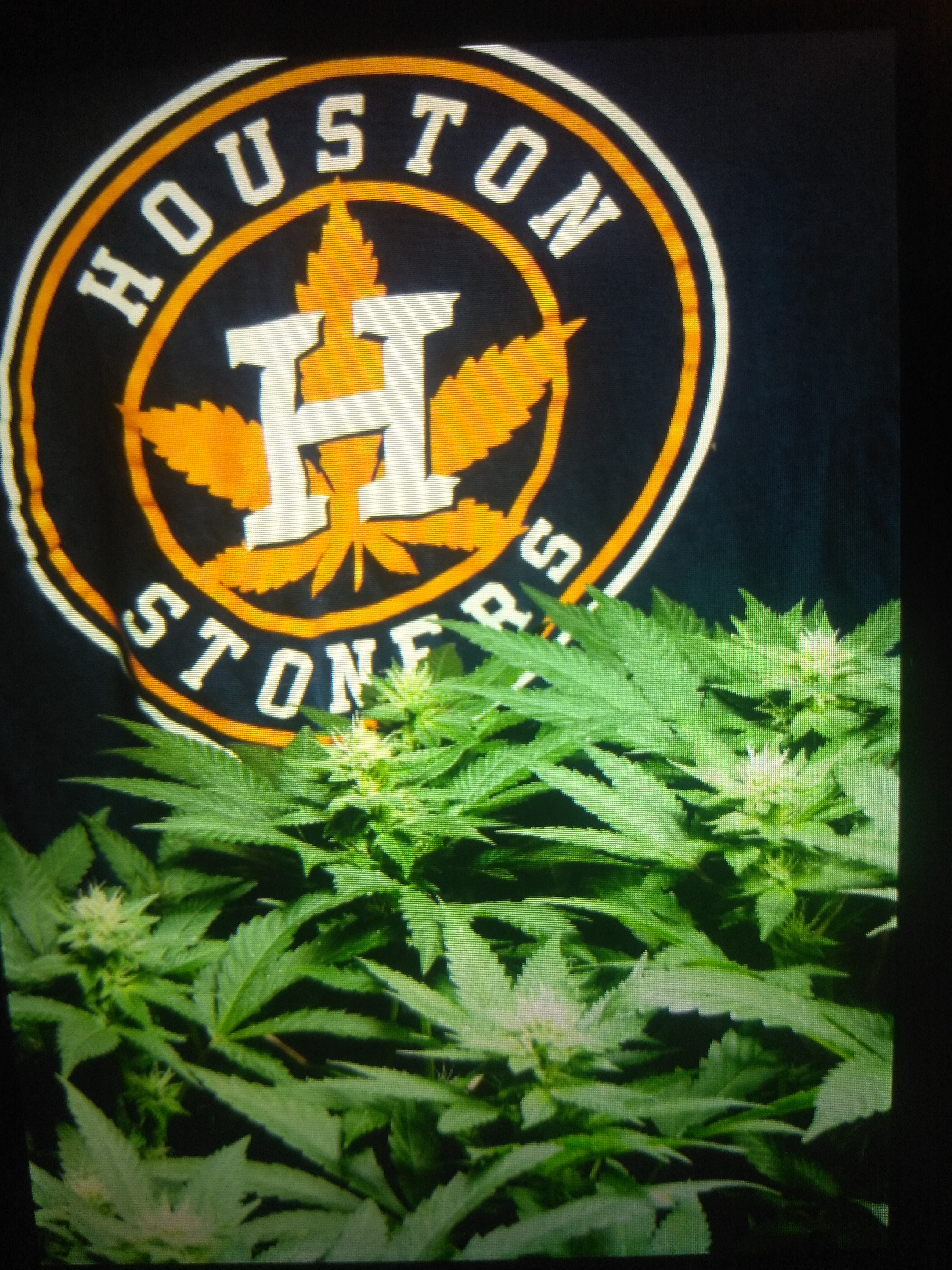 An image of Houstoner