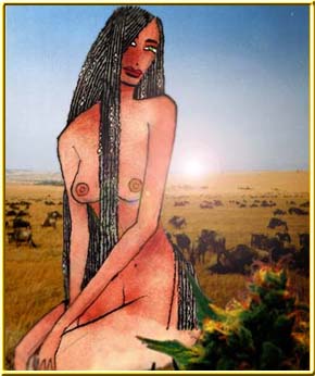 An image of Pandora