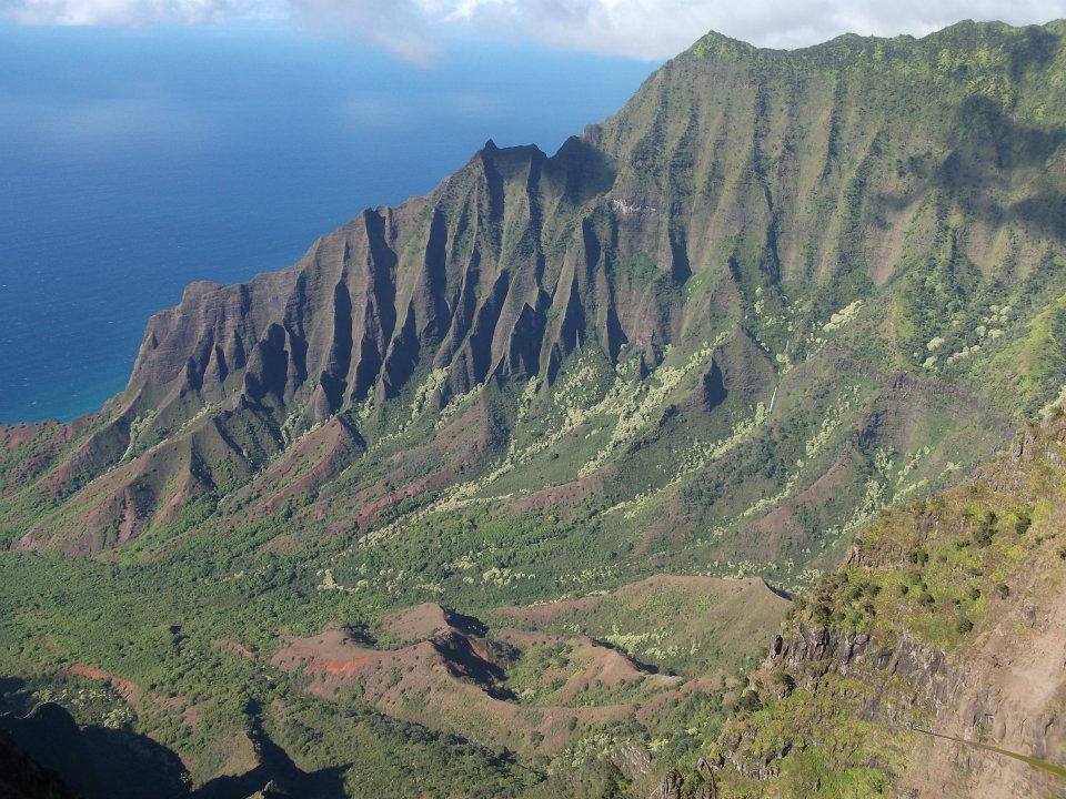 An image of Kalalau Kush