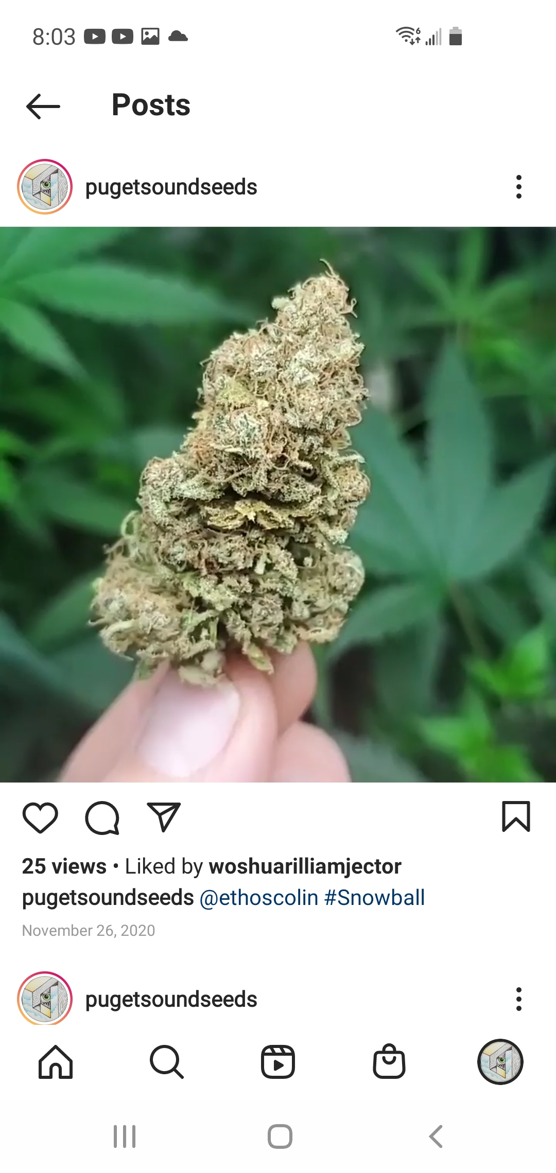 An image of Snow Frost