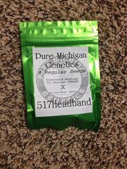 An image of 517 Headband
