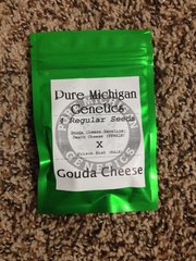 An image of Gouda Cheese