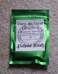 An image of Posion Kush
