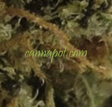 An image of Strawberry Banana Zkittlez