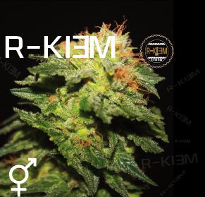 An image of R-Kiem