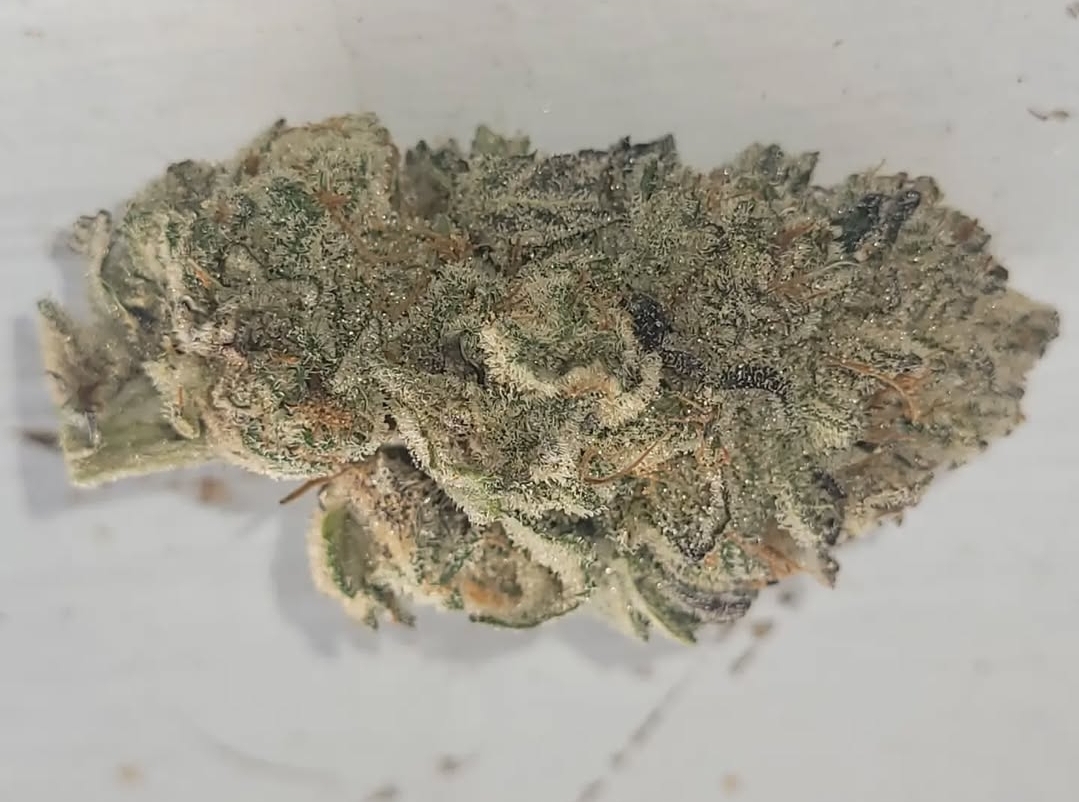 An image of Skoobz Doobz