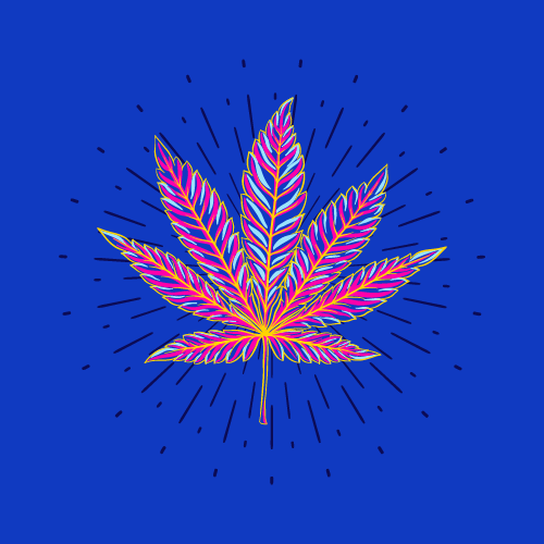 An image of Sour Diesel Panties