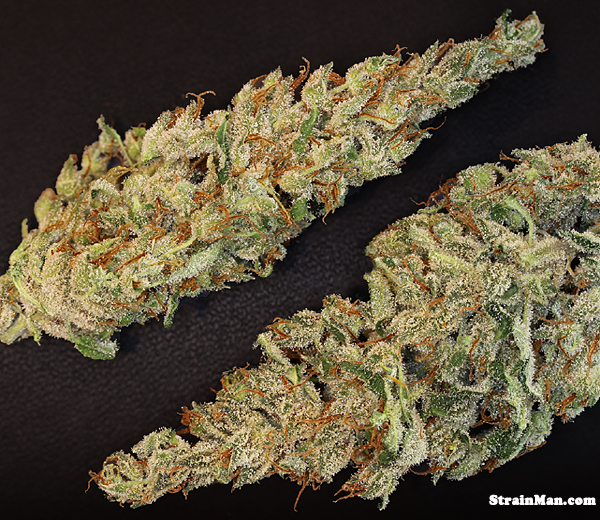 An image of DieselWreck Haze