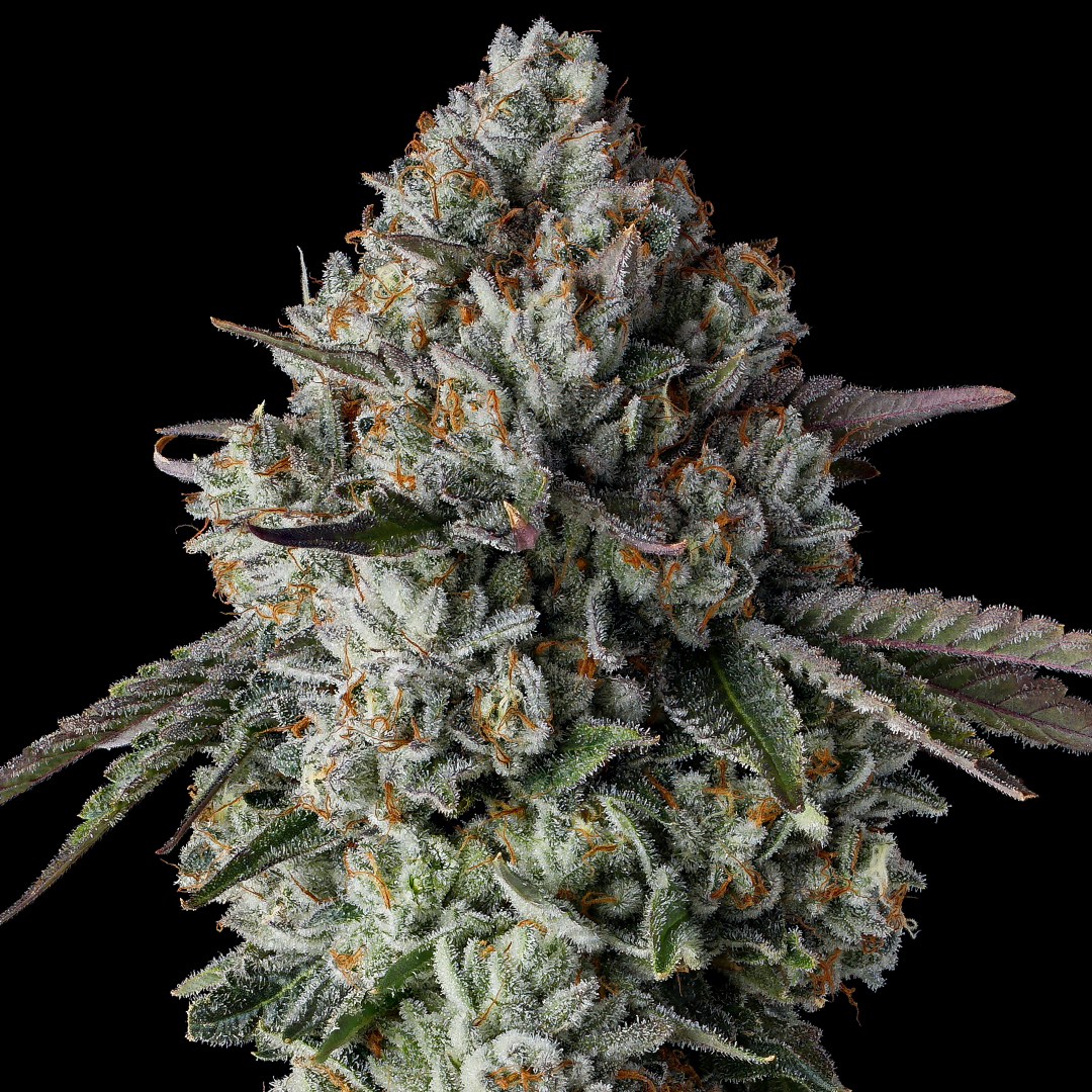 An image of G-Code