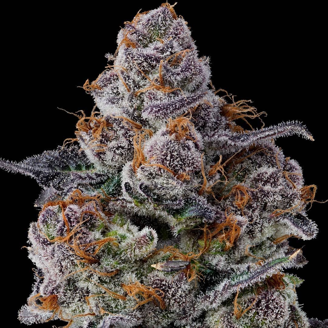 An image of Strawberry Fritter
