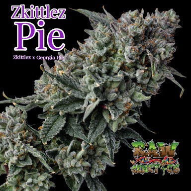 An image of Zkittlez Pie