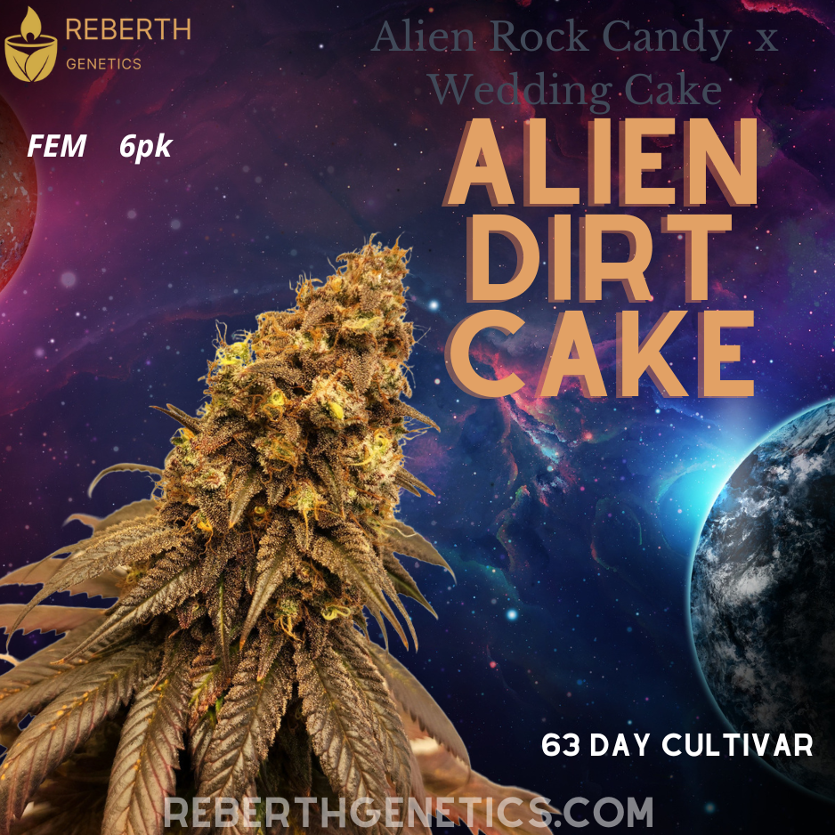An image of Alien Dirt Cake