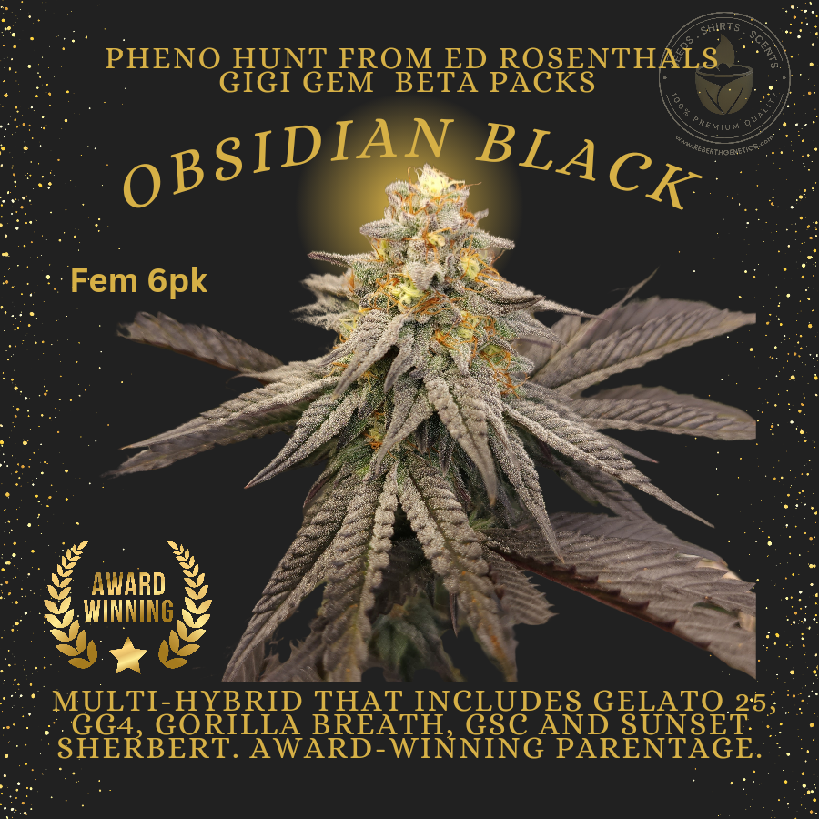 An image of Obsidian Black