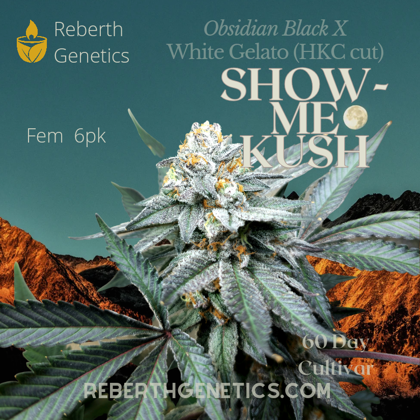 An image of Show-Me Kush
