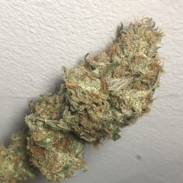 An image of Black Tuna OG Kush