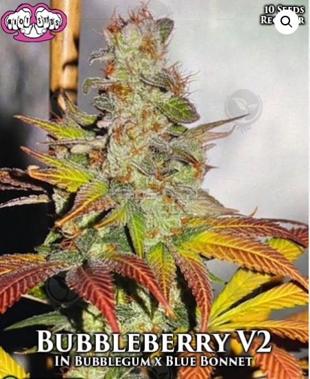 An image of Bubbleberry V2