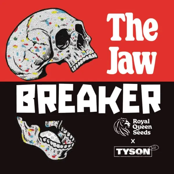An image of The Jawbreaker