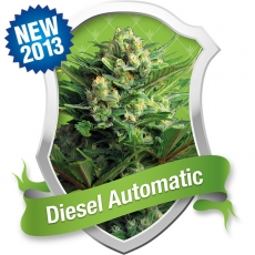 An image of Diesel Automatic