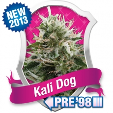 An image of Kali Dog