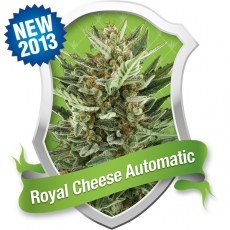 An image of Royal Cheese Automatic