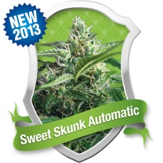 An image of Sweet Skunk Automatic
